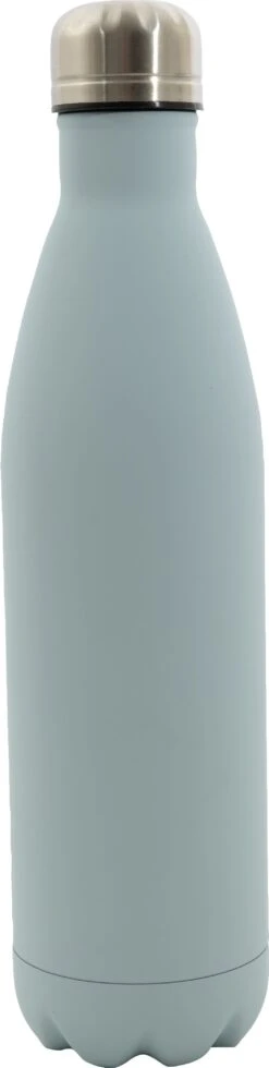 Point-Virgule Isoleerfles Grijs / Blauw 750 Ml