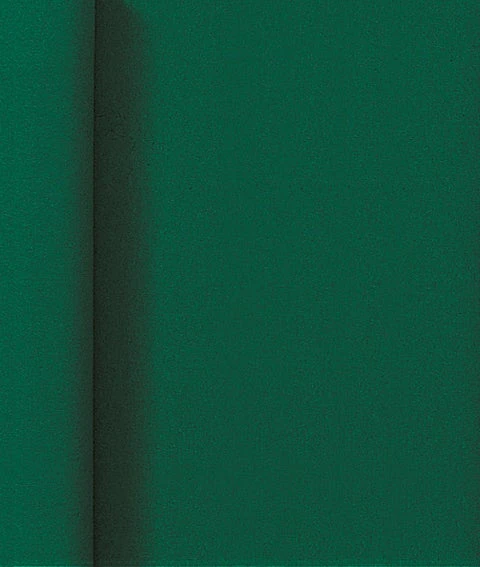 Duni Tafelkleed Op Rol Groen 500 X 118 Cm 3 Duni Tafelkleed Op Rol Groen 500 X 118 Cm