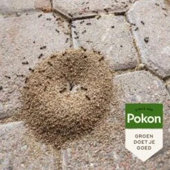 Pokon Tegen Mieren Korrels 400 Gr -Lauraa Winkel 8711969021105 5