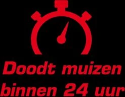 KB Muizen Granen Met Lokstation 2 Stuks -Lauraa Winkel 8711969029644 5