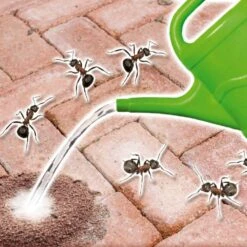 KB Mieren Poeder 400 Gr -Lauraa Winkel 8711969030466 5