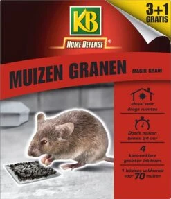 KB Muizen Granen Magik Grain 4 Stuks