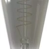 Calex LED Lamp Flex Filament ST64 Extra Warm 100 Lm E27 4 W 1 Calex LED Lamp Flex Filament ST64 Extra Warm 100 Lm E27 4 W -Lauraa Winkel 8712879138433 1
