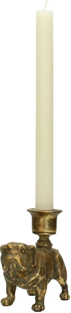 HD Collection Kandelaar Zoo Goud 12 X 6,5 X 11,2 Cm -Lauraa Winkel 8719533168089 03