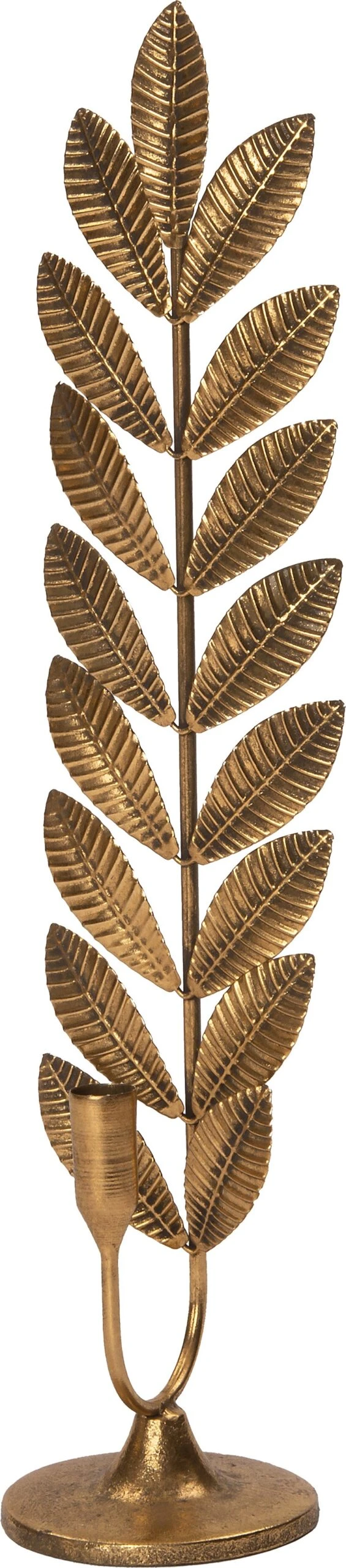 Intratuin Kandelaar Varen Goud 14 X 10,5 X 54 Cm 3 Intratuin Kandelaar Varen Goud 14 X 10,5 X 54 Cm