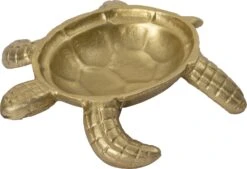 Intratuin Serveerschaal Schildpad Goud D 22 H 5 Cm