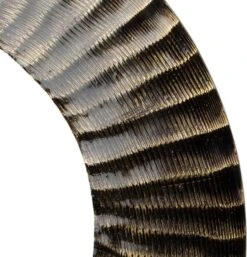 Intratuin Tafellamp Ebe Goud D 33 H 40,5 Cm -Lauraa Winkel 8720196356997 2