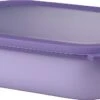 Mepal Vershoudbak Cirqula Paars 24,9 X 19,8 X 7 Cm 2 Mepal Vershoudbak Cirqula Paars 24,9 X 19,8 X 7 Cm -Lauraa Winkel 8720294018483 0