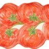 Mica Decorations Bord Tomaten Rood 31 X 15 X 3,5 Cm -Lauraa Winkel 8720362237730 0